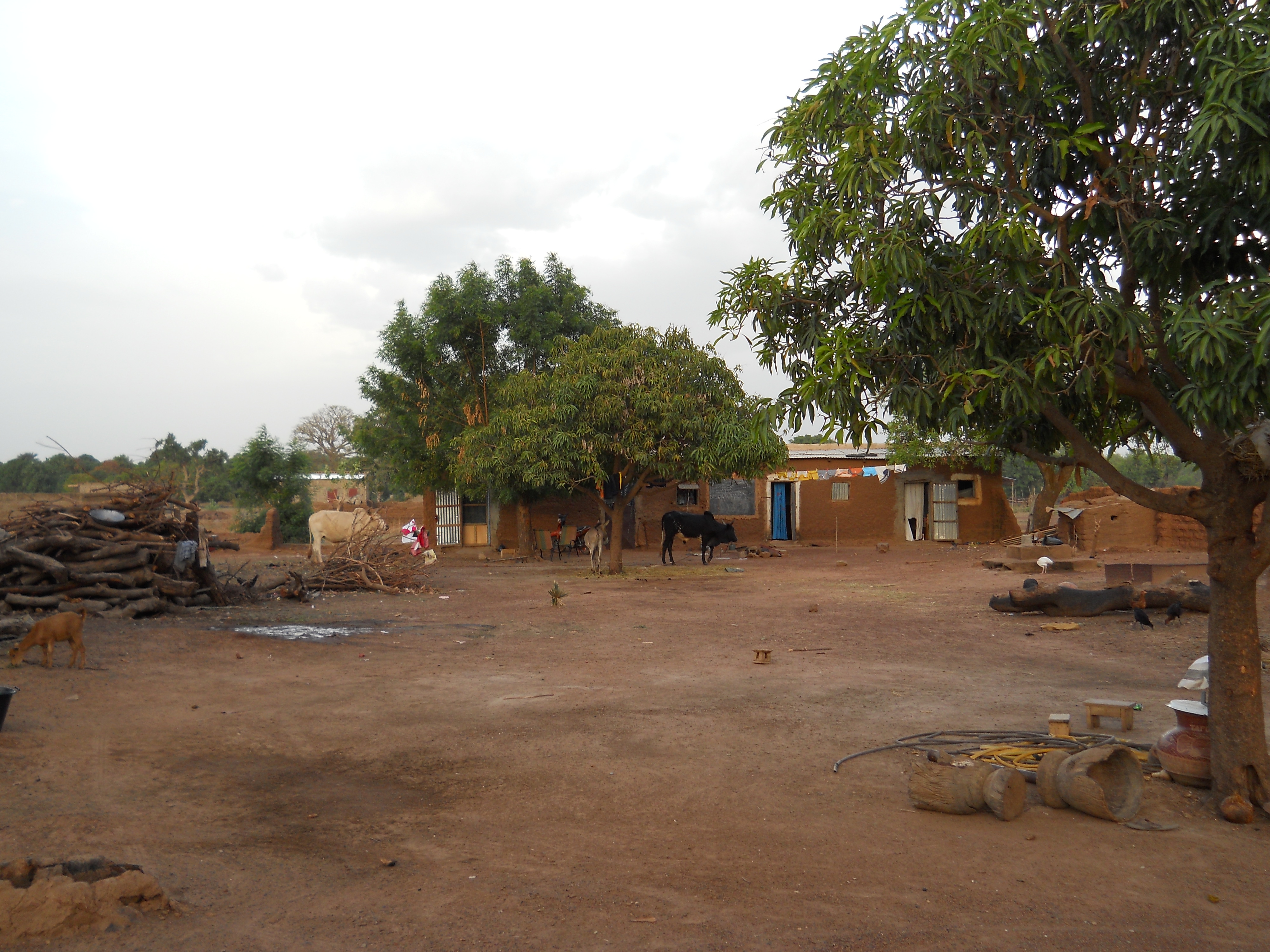 Homestay family’s compound. My room is in the back left.