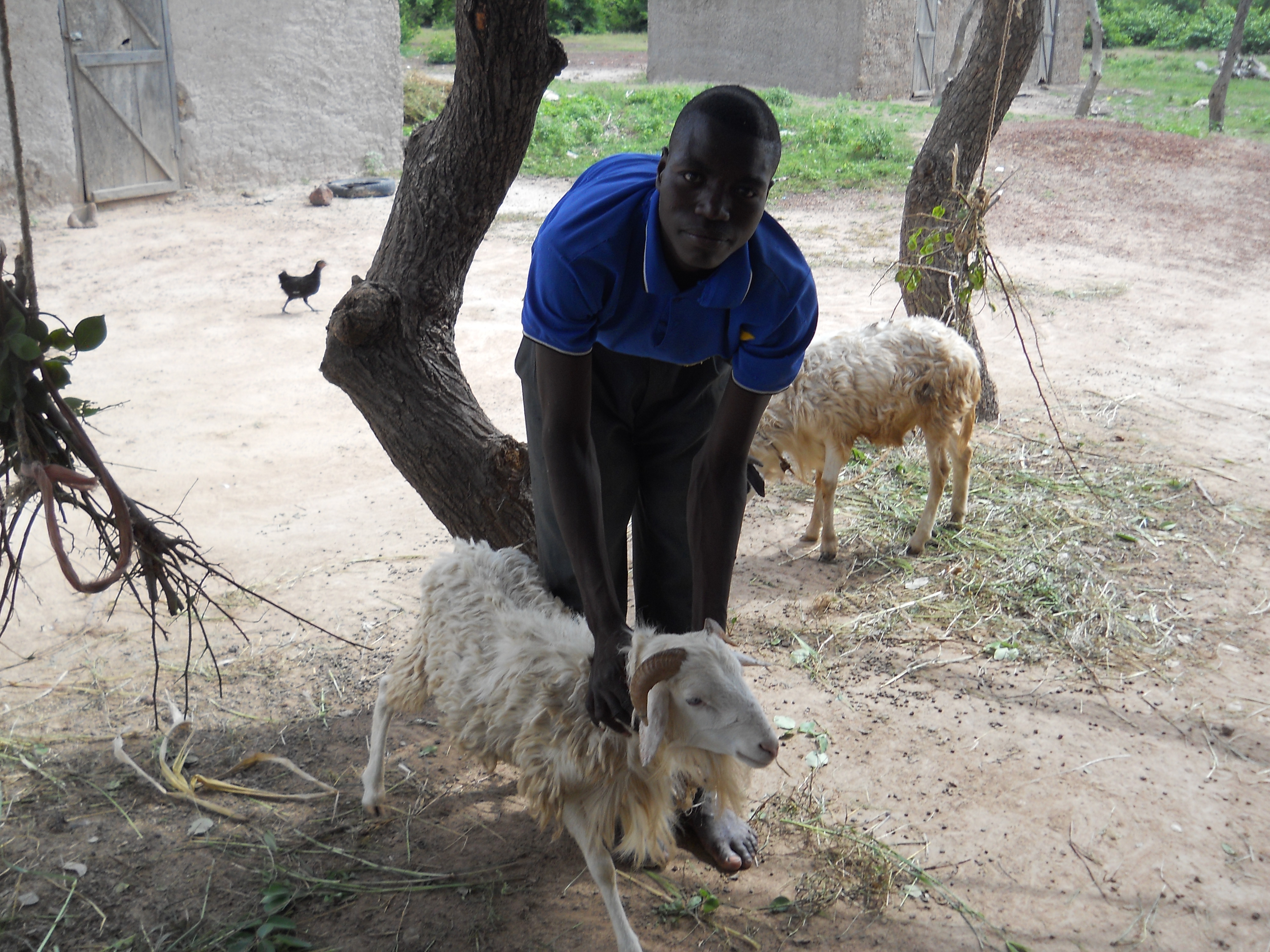 Allaye posing with the sheep before its big day.