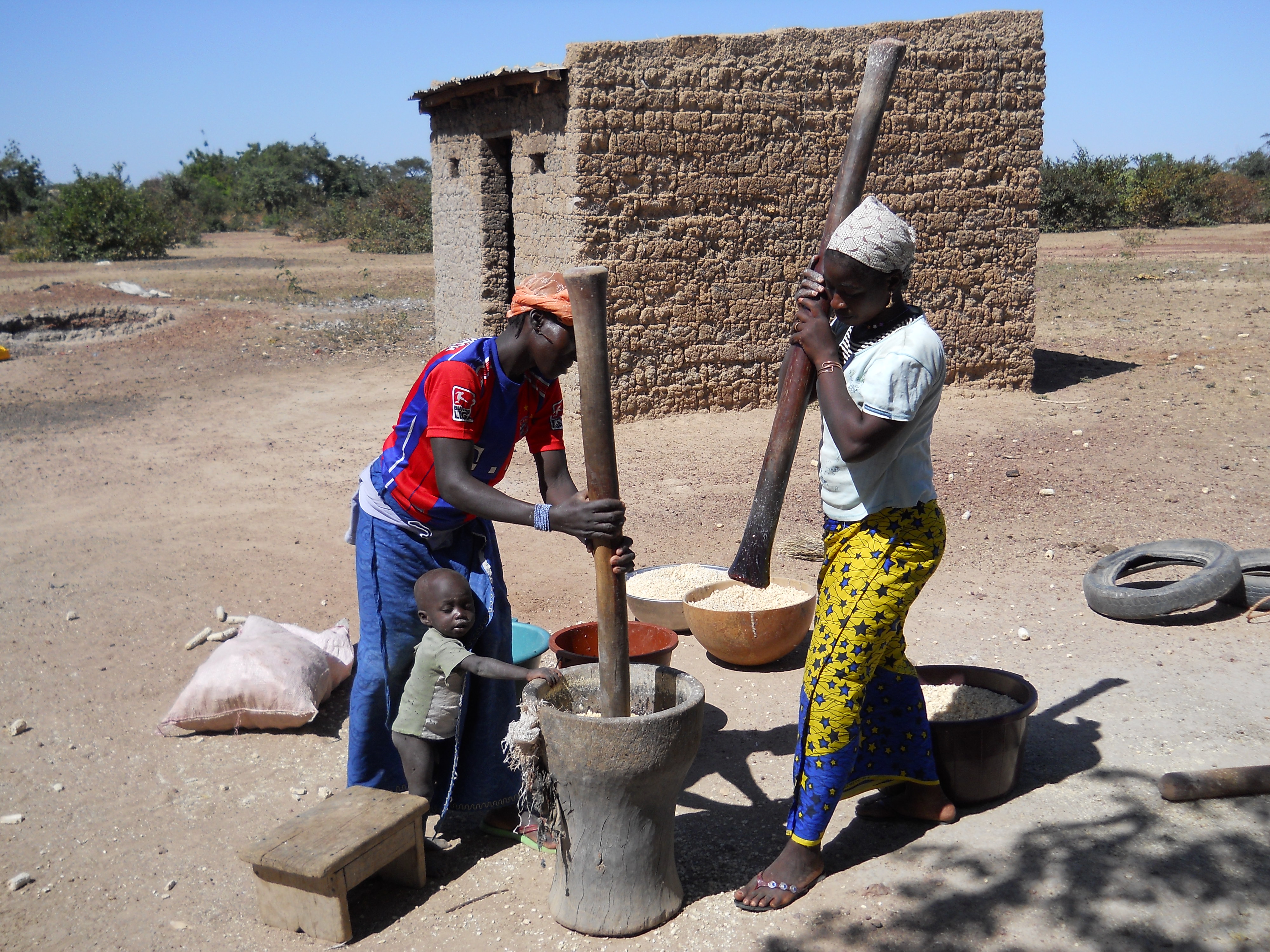 My work-counterpart’s wife Biba and host sister Ntene pounding corn. I didn’t know what hard work was until I met Malian women.