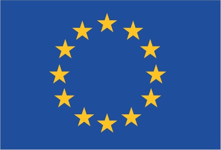 European Union Flag